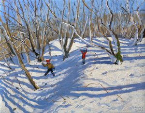 Spring Snow, Newhaven Derbyshire, 2008 by Andrew Macara